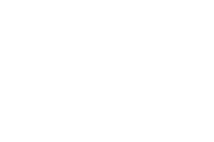 JALAL HAMMOUD INVESTMENT 